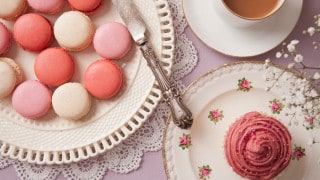 Research and Development Guidelines for the Food Industries